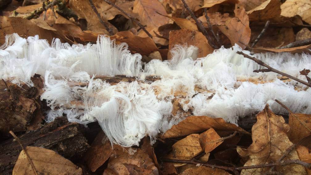 vochtregulerende verf hout beschermen tegen vocht