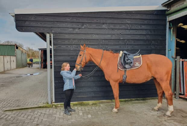 paardenstal verven houten paardenstal schilderen