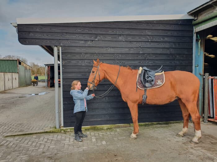 paardenstal verven houten paardenstal schilderen