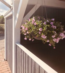 Grijze carport 