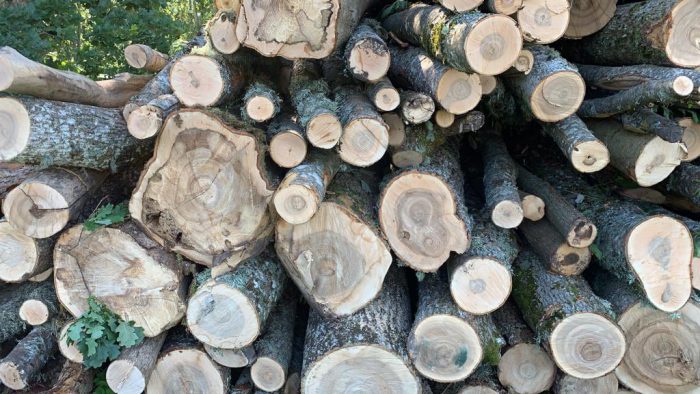 Afrekenen Lucky weigeren Kromtrekken hout | Oorzaken en voorkomen | Tips | Moose Färg