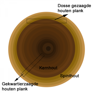 uitleg kromtrekken hout Boomstam doorsnede