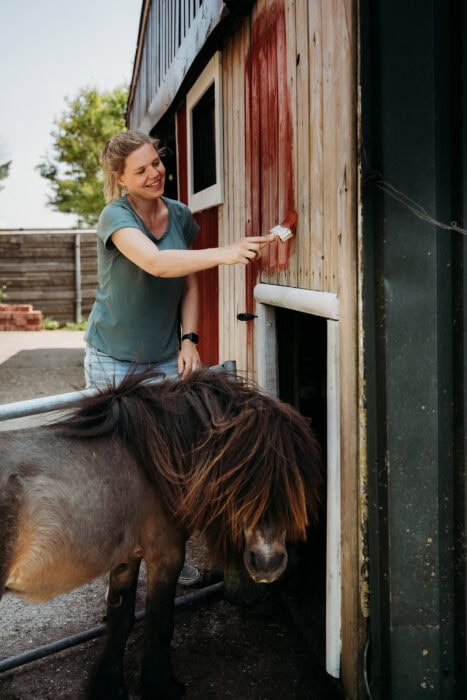 paardenstal verven