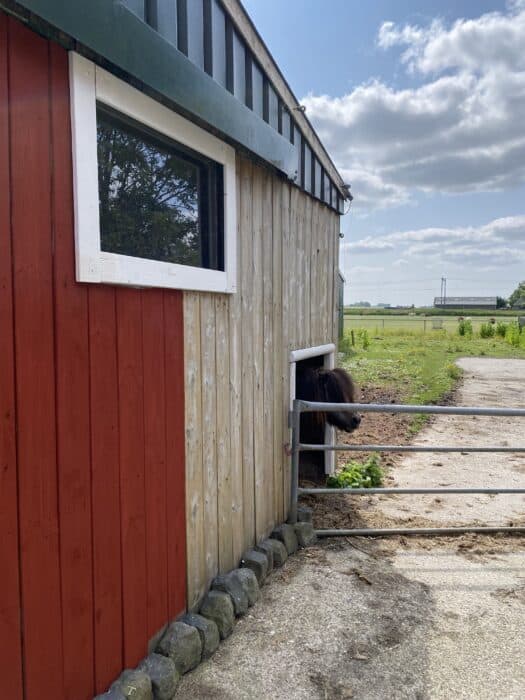 paardenstal verven