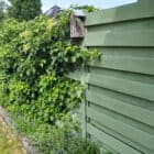 schutting groen beitsen