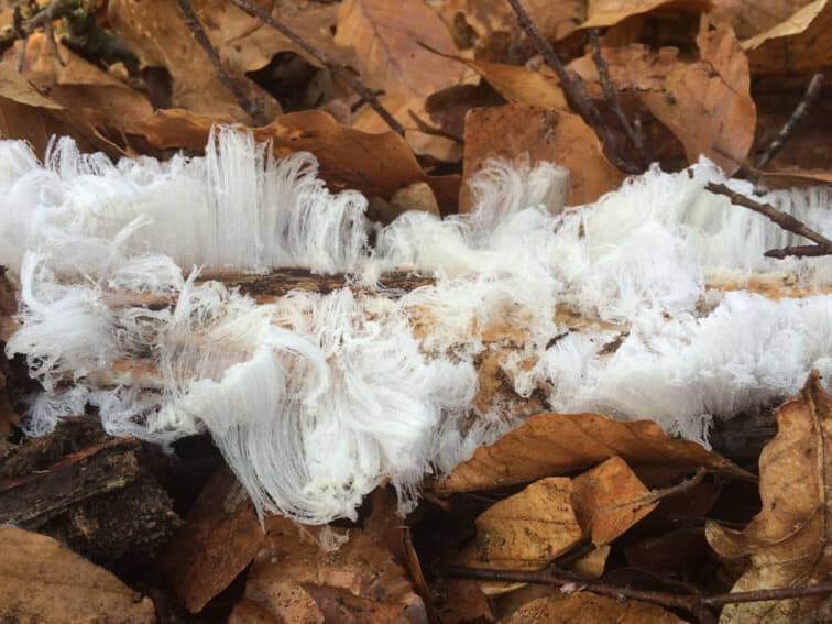 vochtregulerende verf hout beschermen tegen vocht