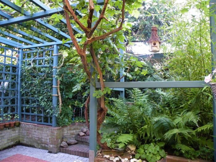 Zweedse verf op pergola